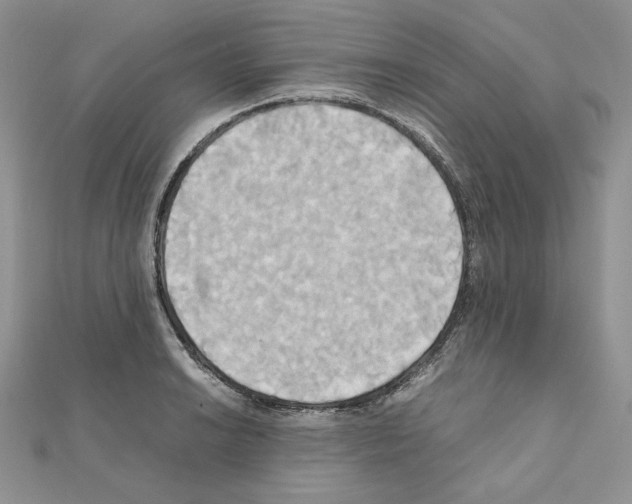 X0000110971038200907310925