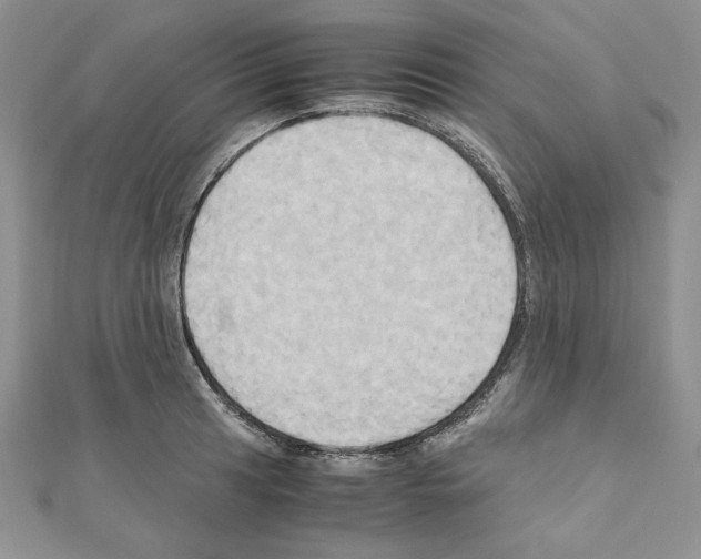 X0000110971041200907310925