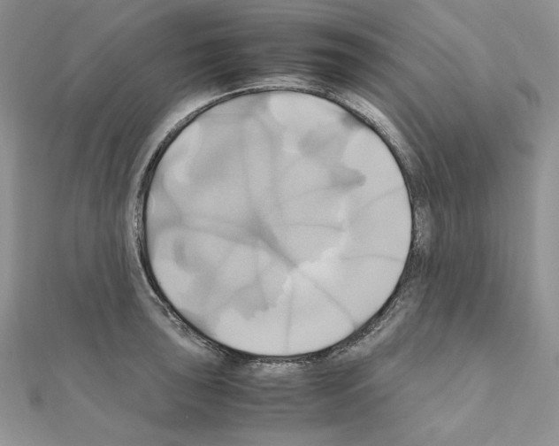 X0000110971043200907310925