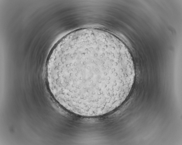X0000110971044200907310925