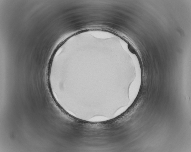 X0000110971045200907310925