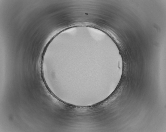 X0000110971046200907310925
