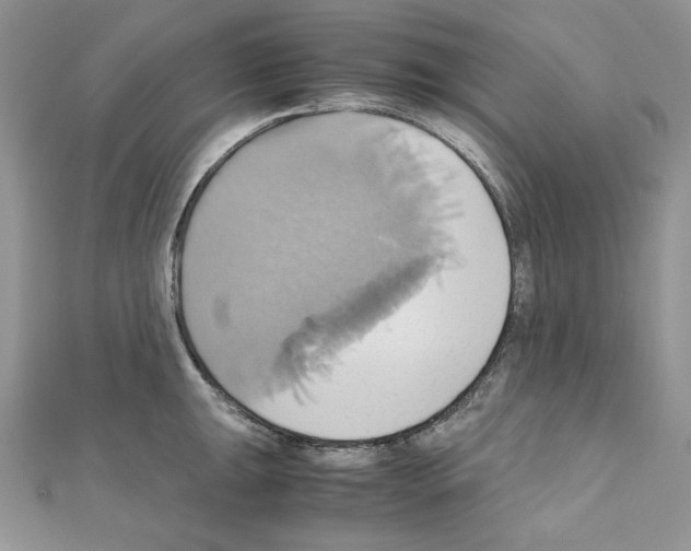 X0000110971047200907310925