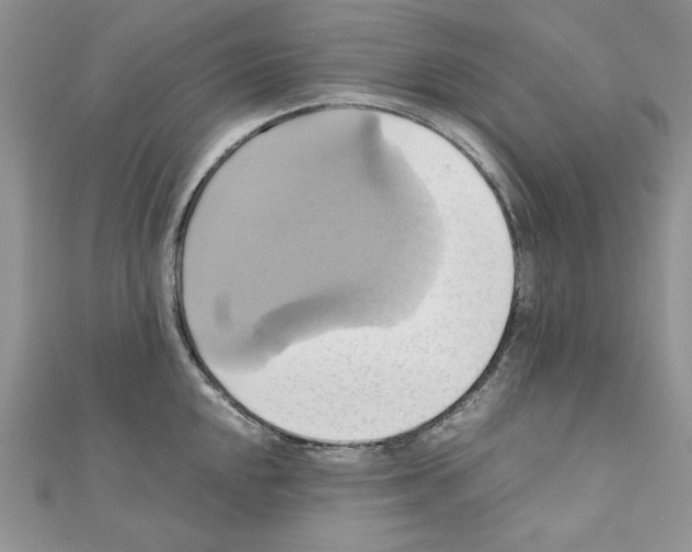 X0000110971048200907310925