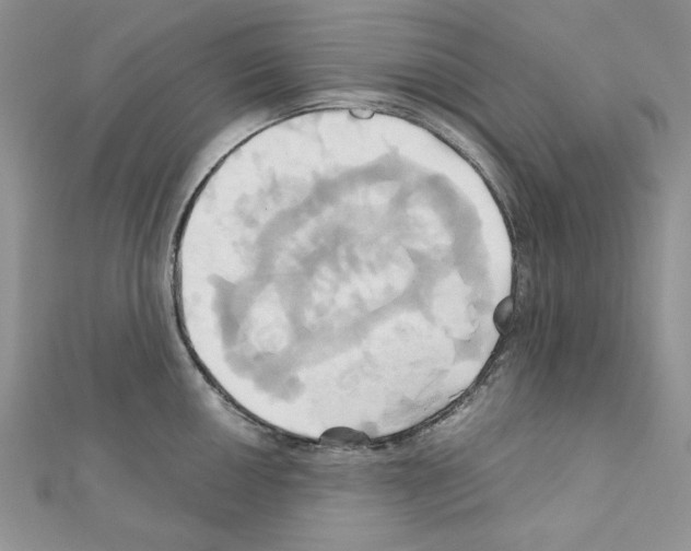 X0000110971050200907310925