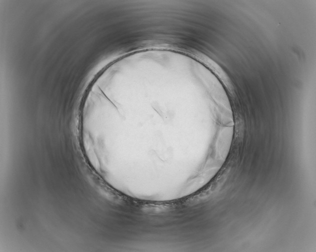 X0000110971051200907310925