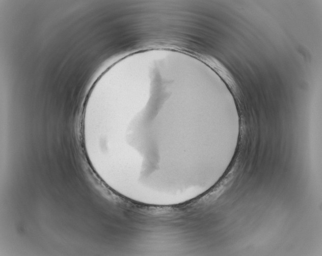 X0000110971052200907310925