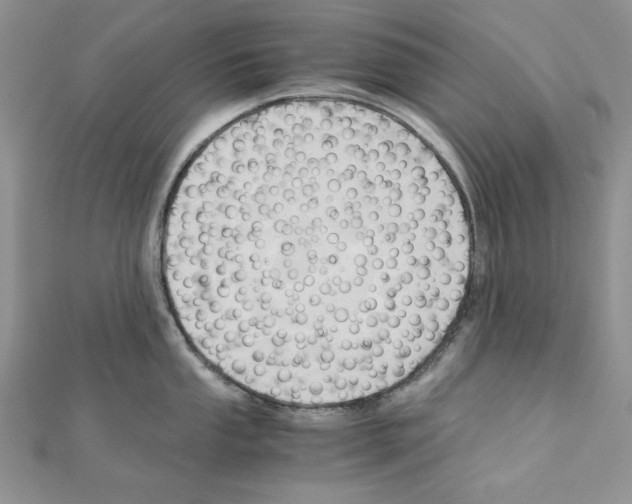 X0000110971053200907310925