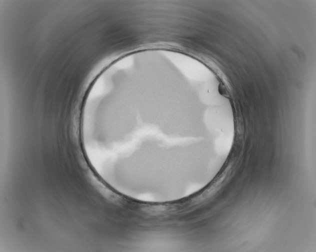 X0000110971054200907310925