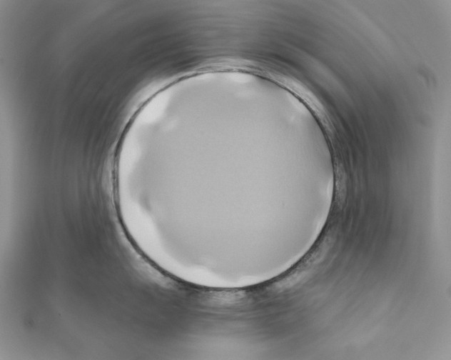 X0000110971055200907310925