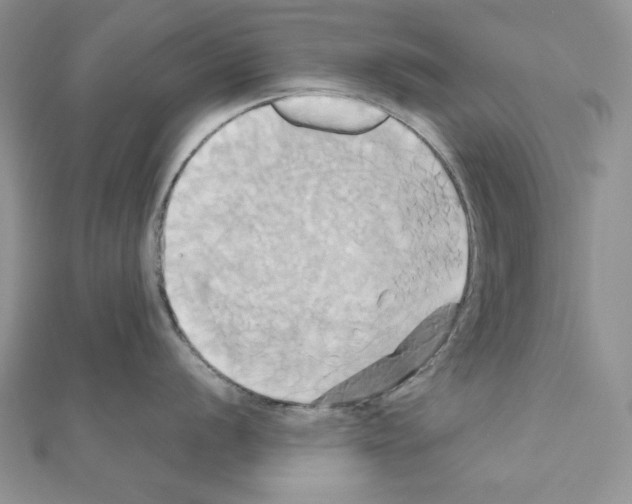 X0000110971056200907310925