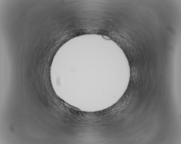 X0000110971057200907310925