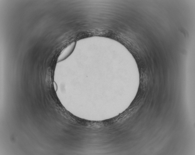 X0000110971058200907310925