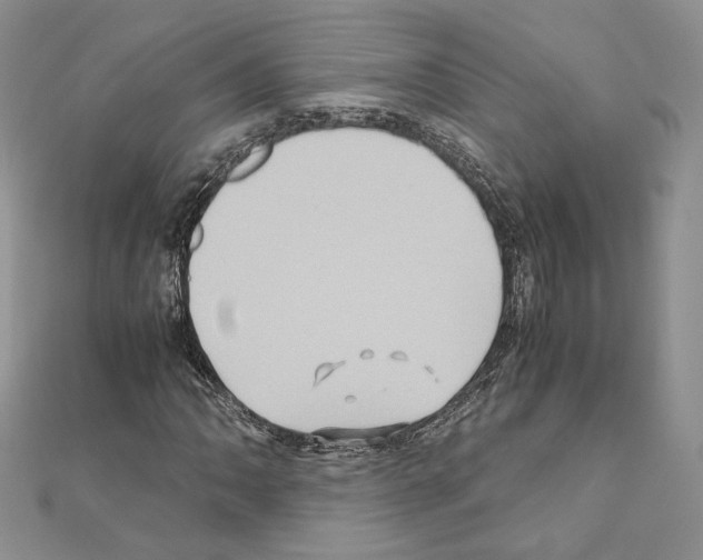 X0000110971062200907310925