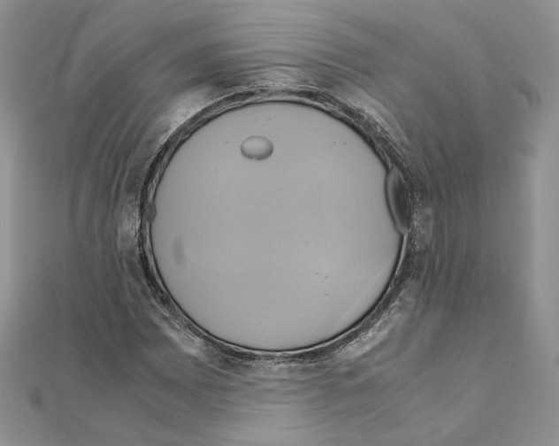 X0000110971065200907310924