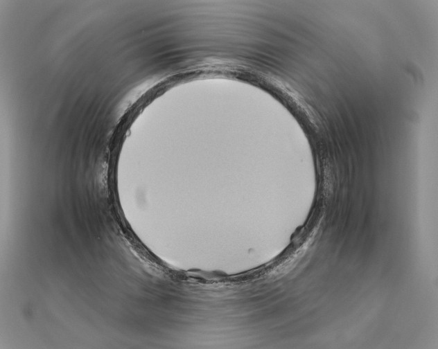 X0000110971066200907310924