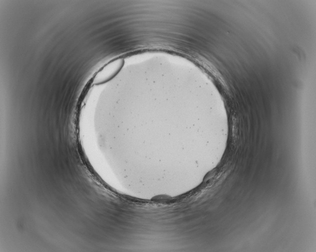 X0000110971068200907310924