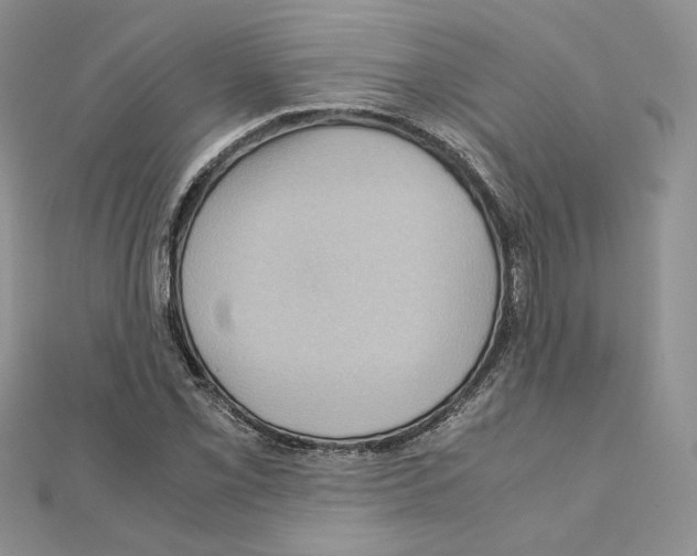 X0000110971069200907310924