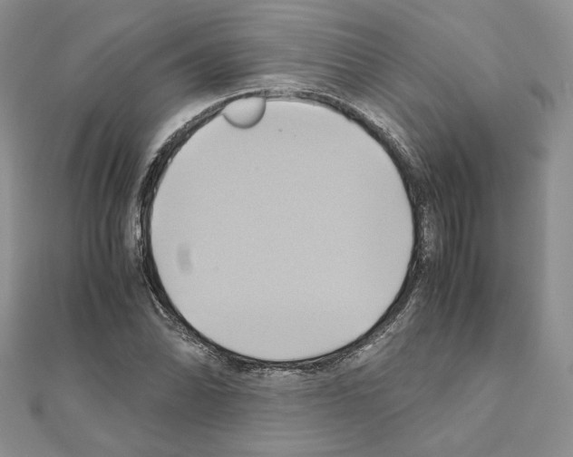 X0000110971070200907310924