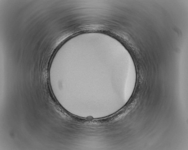 X0000110971073200907310924