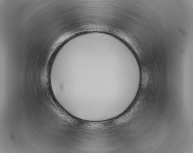 X0000110971074200907310924