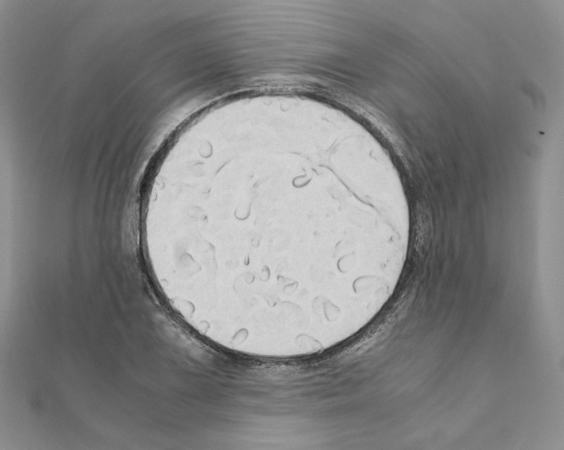 X0000110971075200907310924