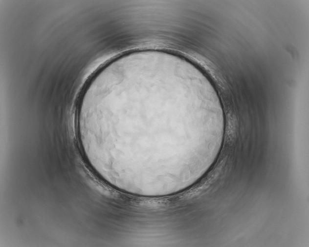 X0000110971078200907310924