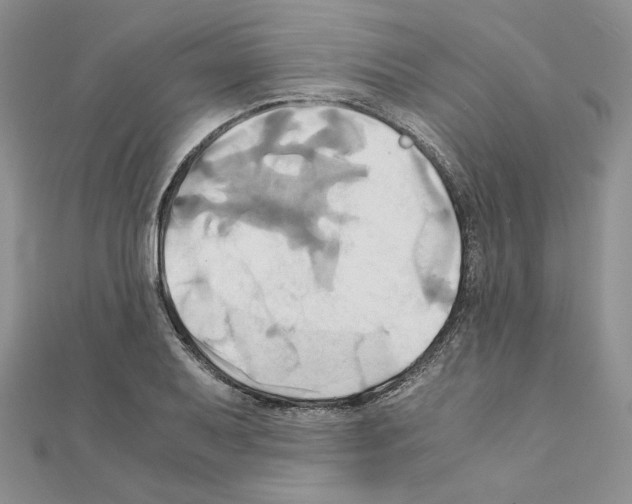 X0000110971079200907310924