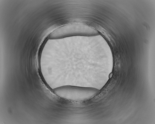 X0000110971080200907310924