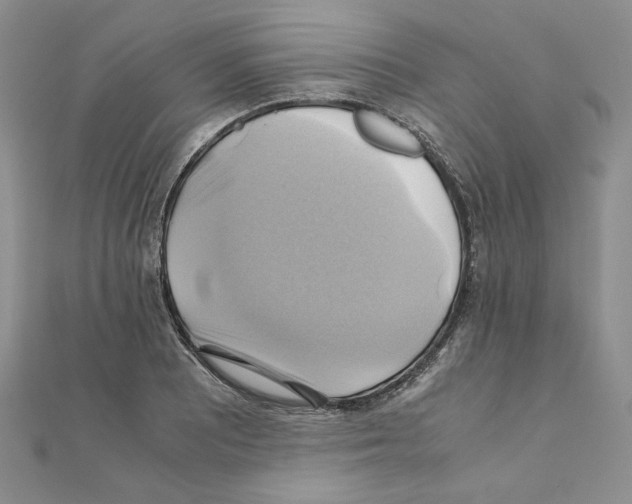 X0000110971081200907310924