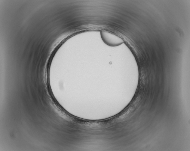 X0000110971082200907310924