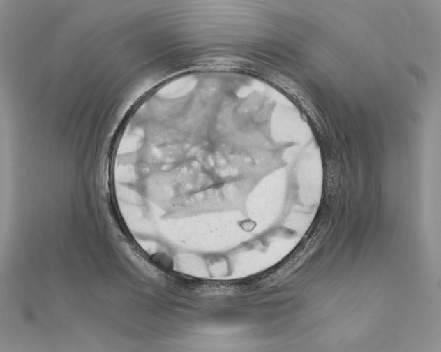 X0000110971083200907310924