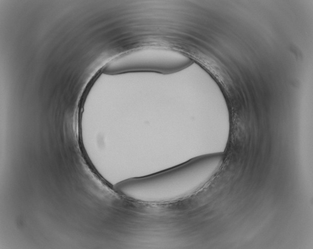 X0000110971084200907310924