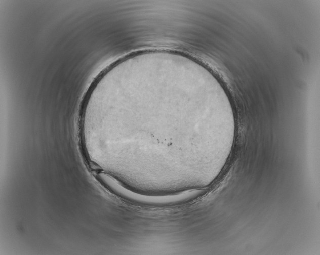 X0000110971085200907310924