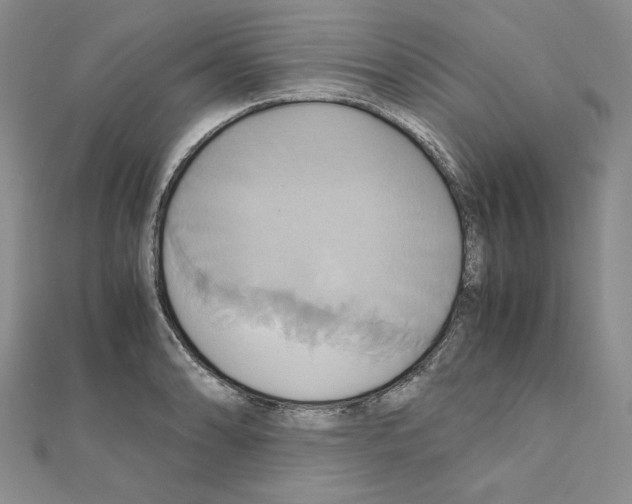 X0000110971086200907310924