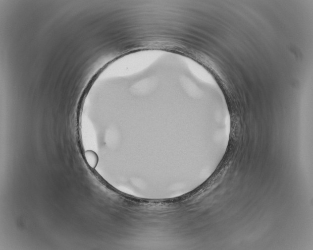 X0000110971087200907310924