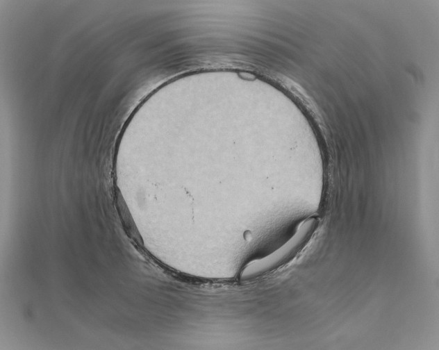 X0000110971089200907310924
