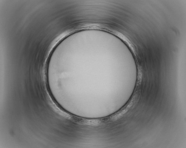 X0000110971090200907310924