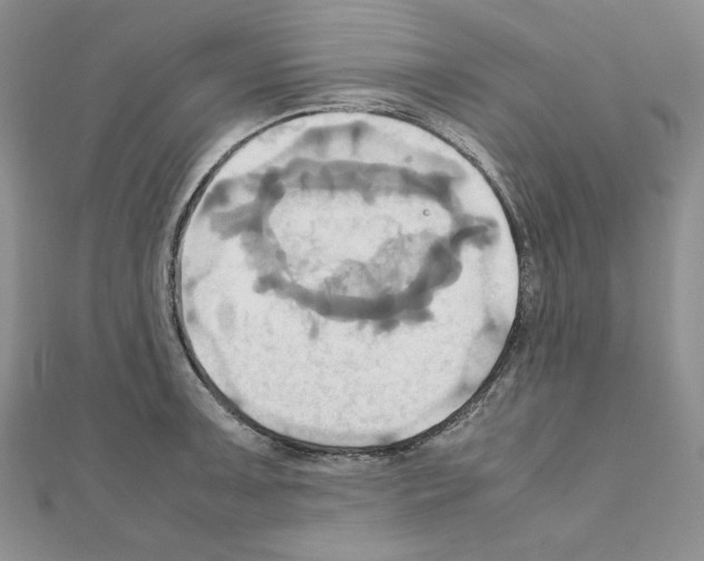 X0000110971091200907310924
