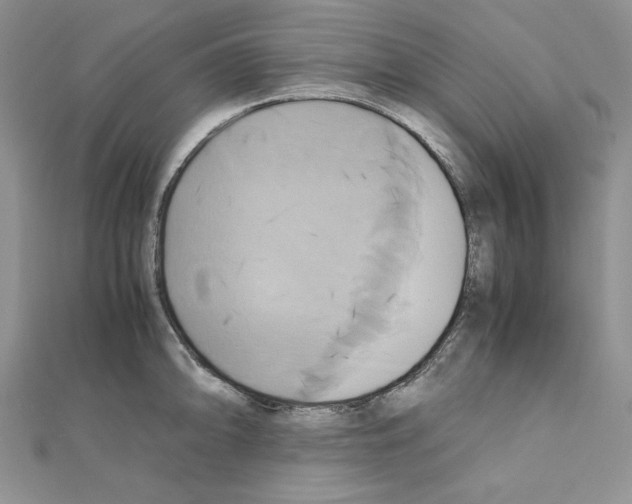 X0000110971094200907310924