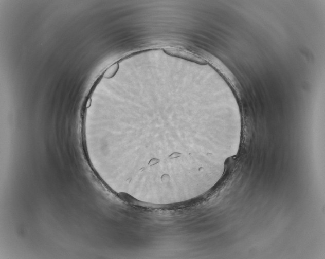 X0000110971096200907310924