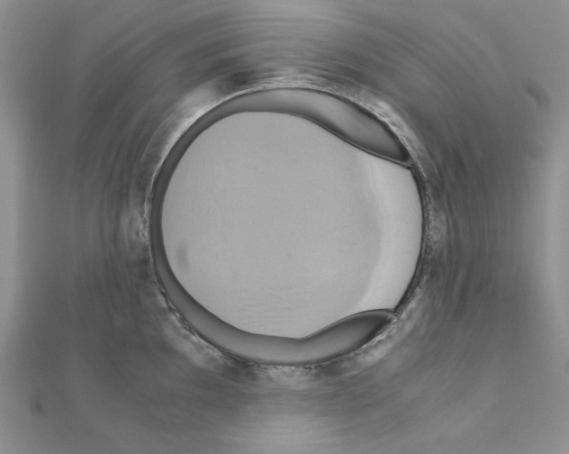 X0000110971097200907310924