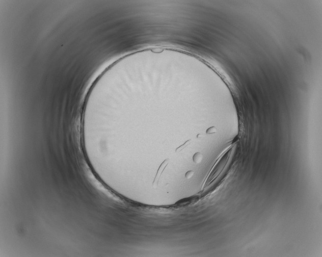 X0000110971100200907310924