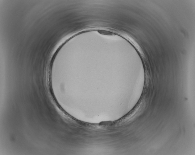 X0000110971101200907310924