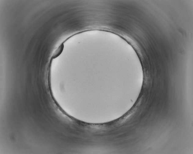 X0000110971102200907310924