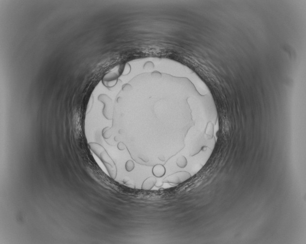X0000110971106200907310923