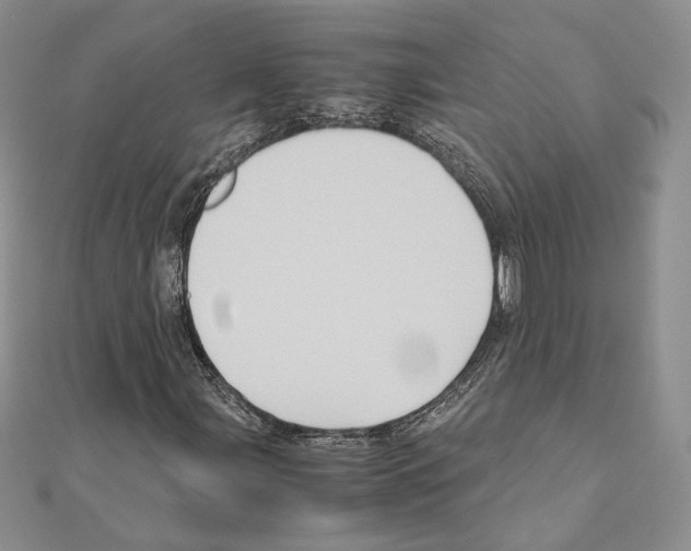 X0000110971107200907310923