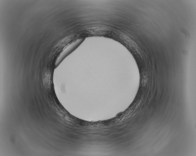 X0000110971108200907310923