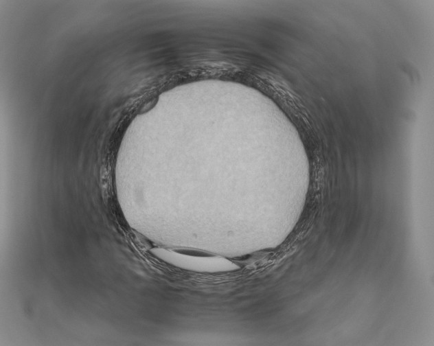 X0000110971109200907310923