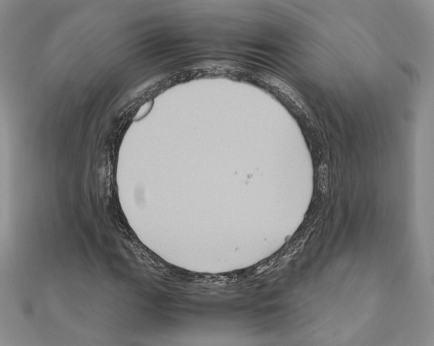 X0000110971111200907310923